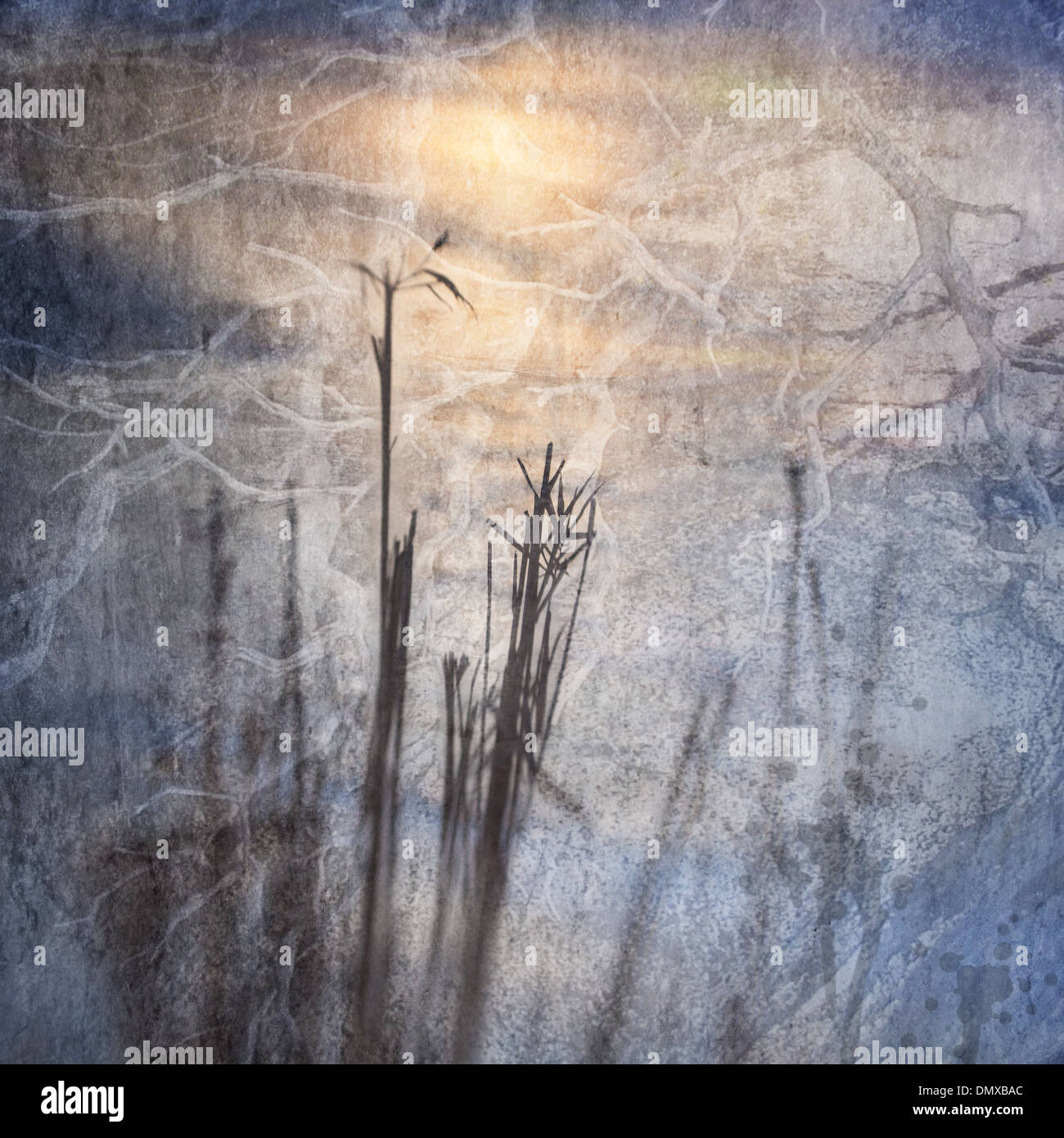 Creative textures hi-res stock photography and images - Alamy