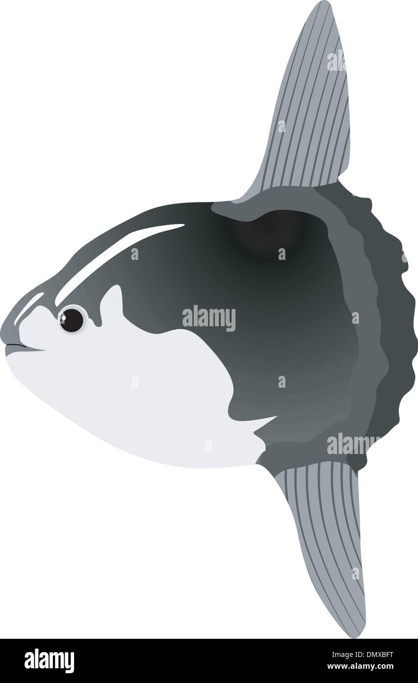 sunfish Stock Vector