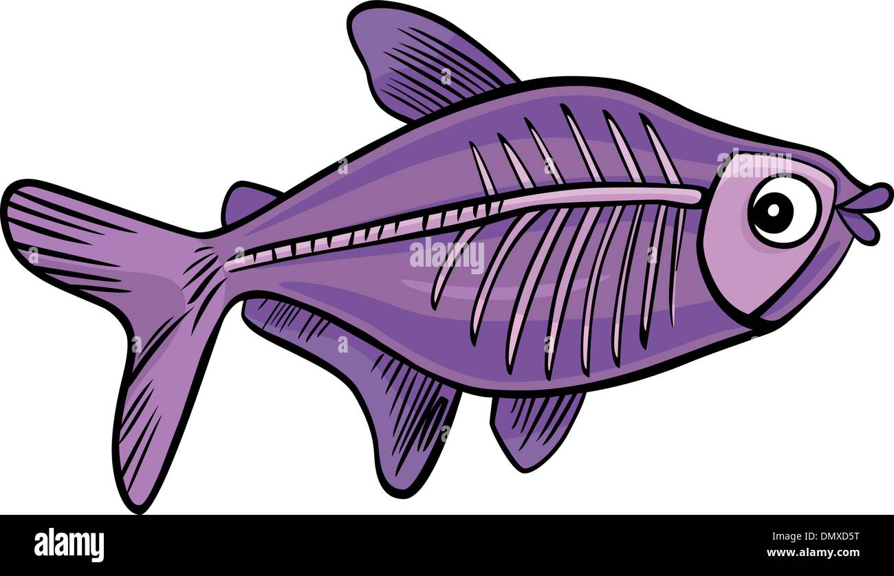 cartoon x-ray fish Stock Vector