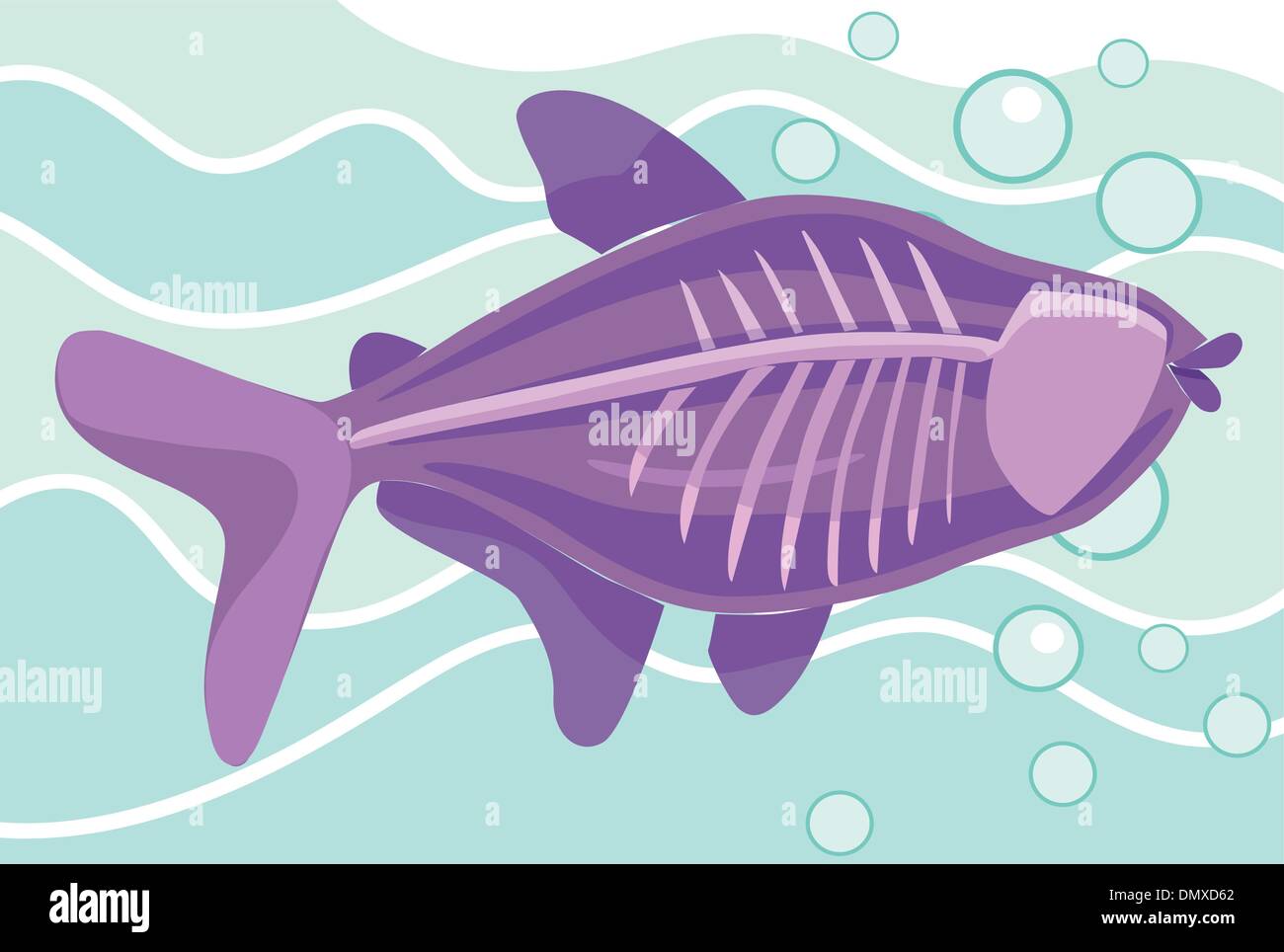 cartoon x-ray fish Stock Vector