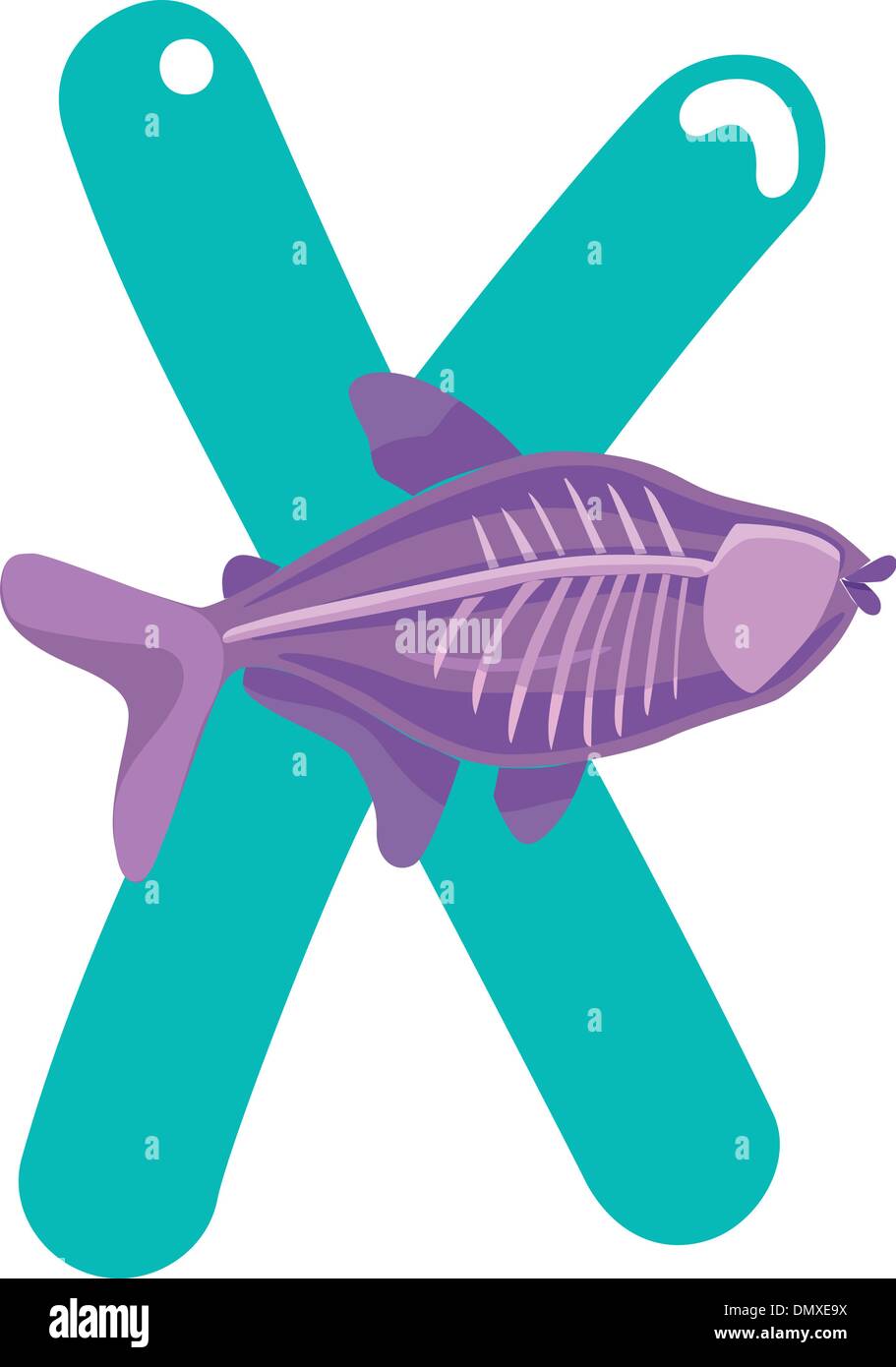 X for x-ray fish Stock Vector
