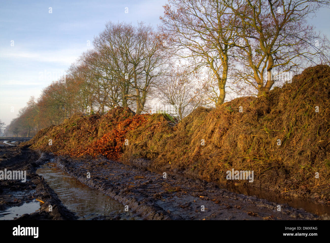 Muddy field hires stock photography and images Alamy