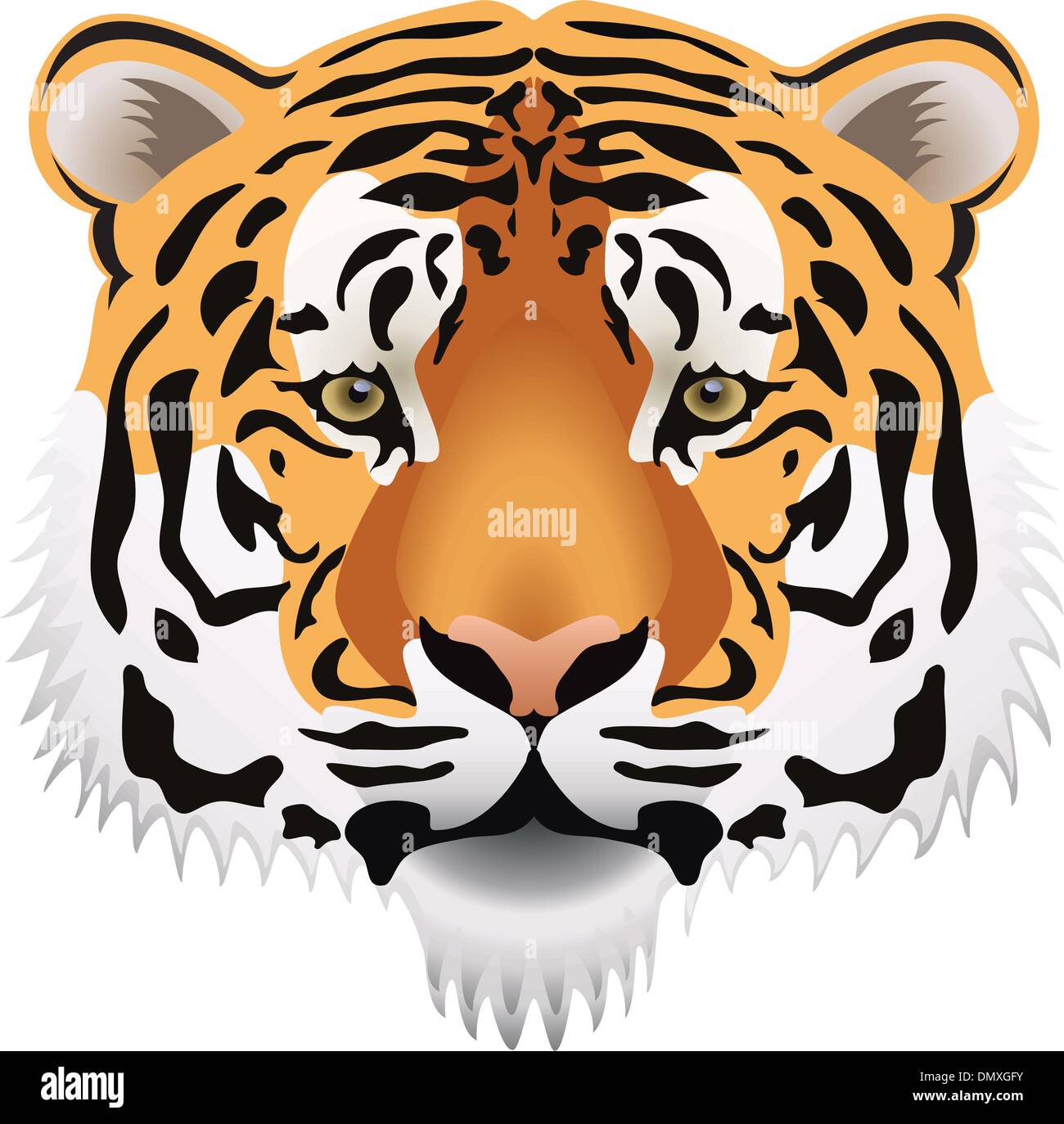 Tiger face vector vectors hi-res stock photography and images - Alamy