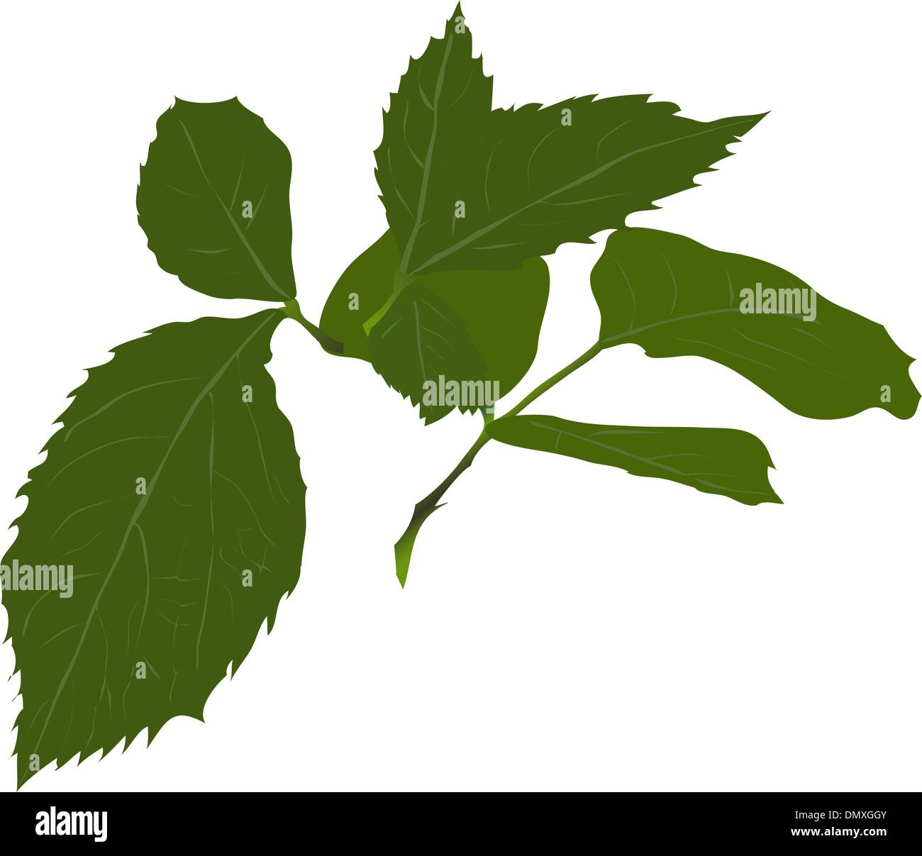 Illustration of a red rose Stock Vector Image & Art - Alamy