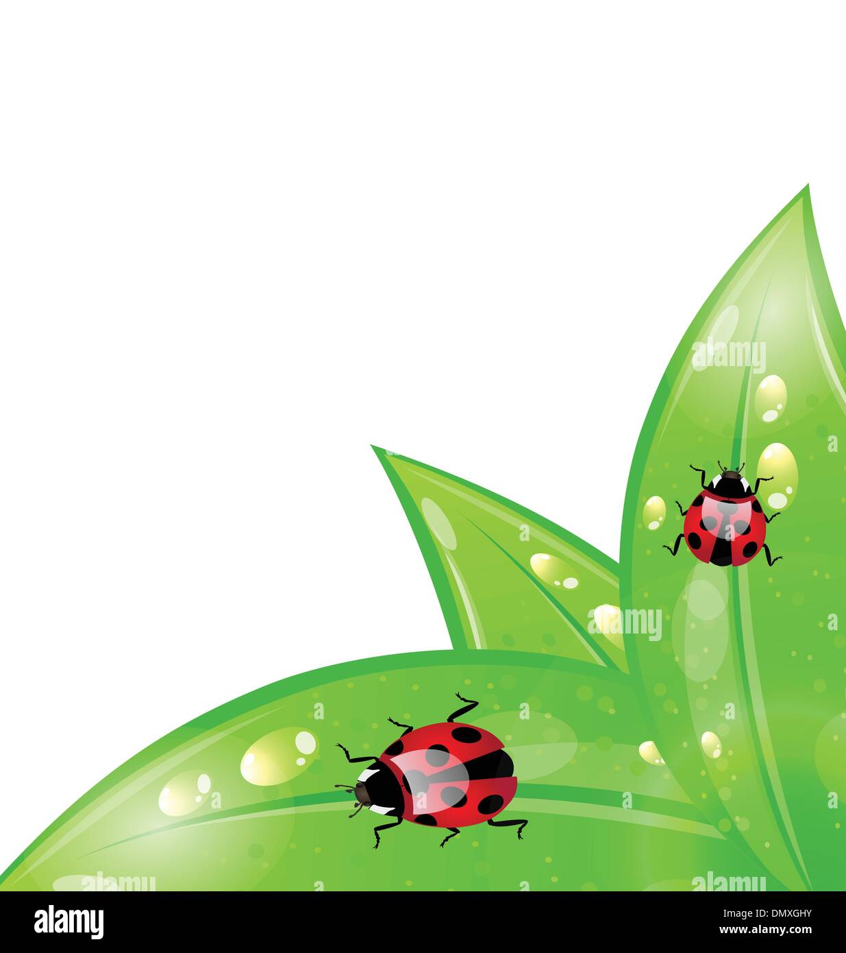 Ecology background with ladybugs on leaves Stock Vector