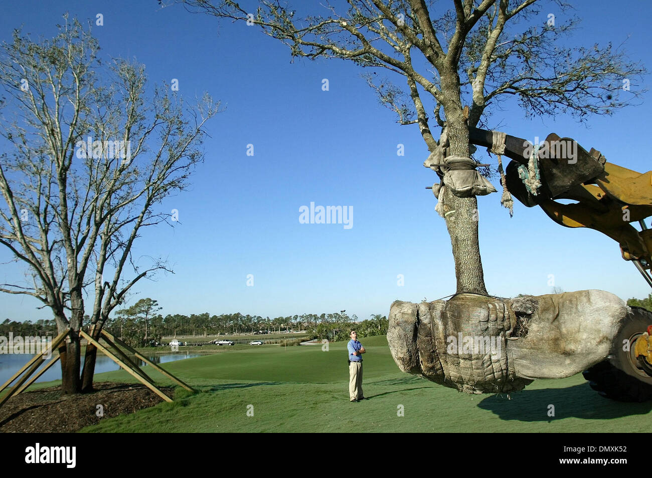Feb 24, 2006; Palm Beach, FL, USA; Michael Thomas, superintendent of  Mirasol Country Club's Sunrise course supervising the arrival of a new  thirty feet tall oak tree, (R), replacing the older one