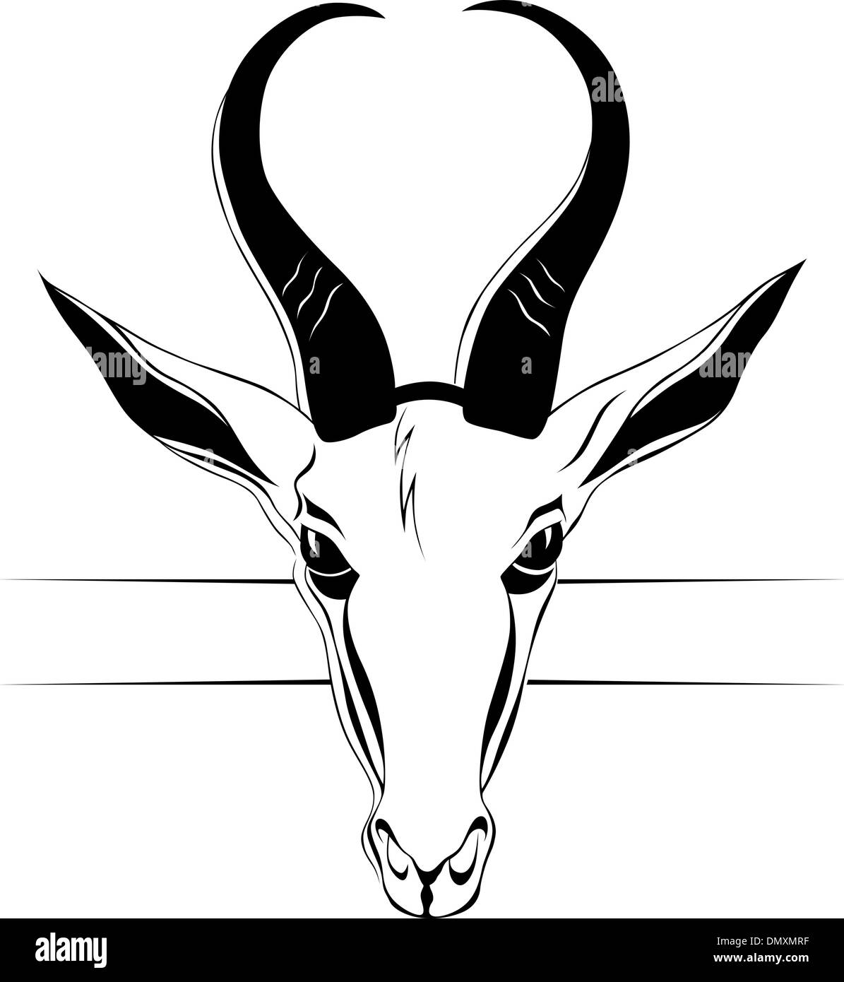 antelope head in vector Stock Vector Art & Illustration, Vector Image