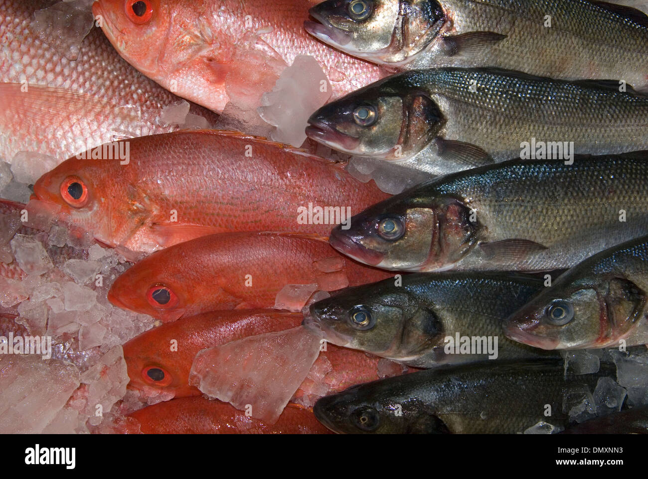 frozen fish for sale at a supermarket Stock Photo Alamy