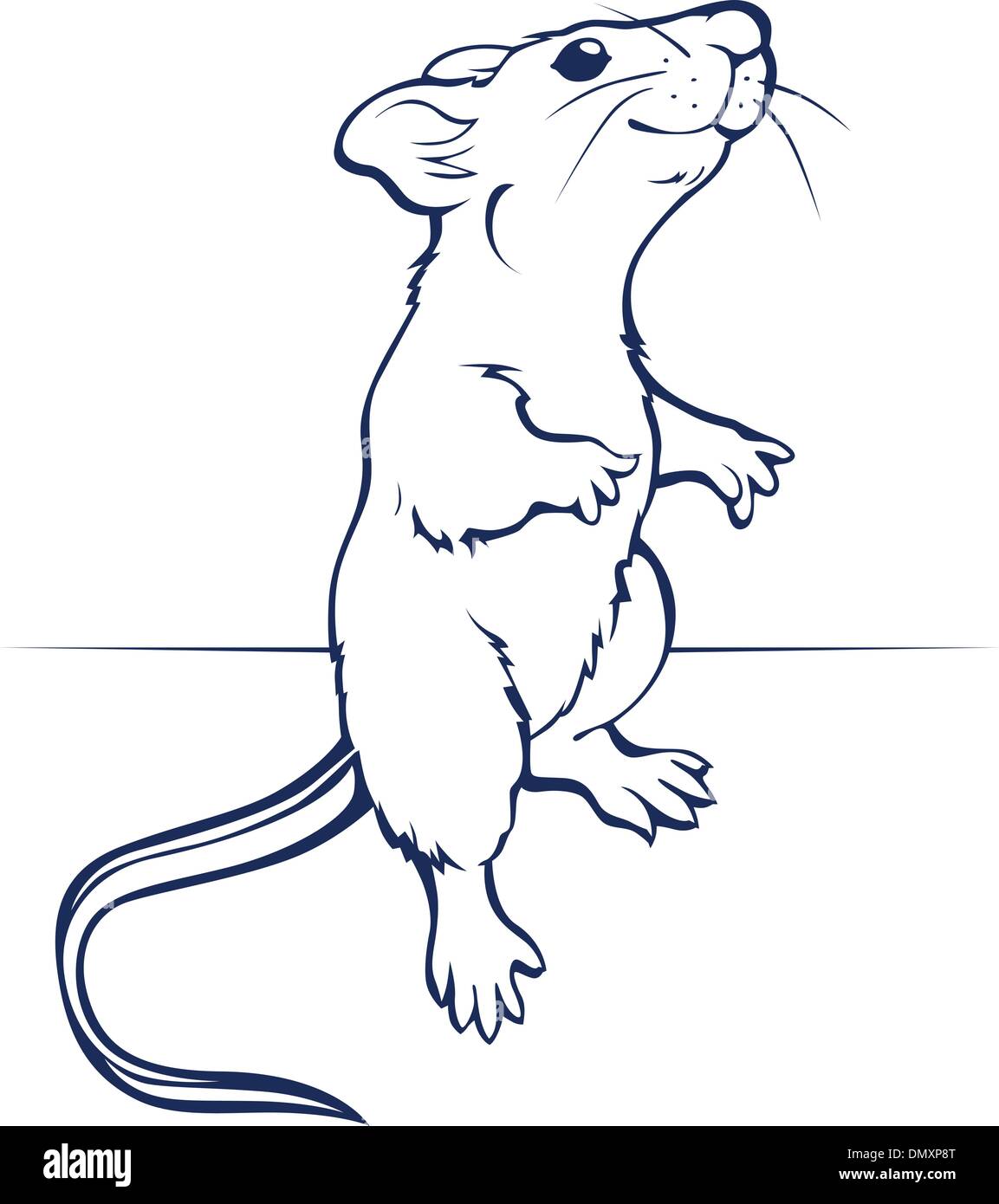 Мышь на задних лапах рисунок