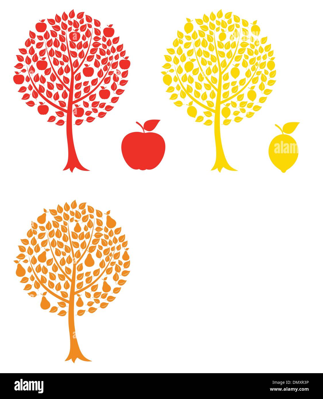 Acacia fruit Stock Vector Images - Alamy