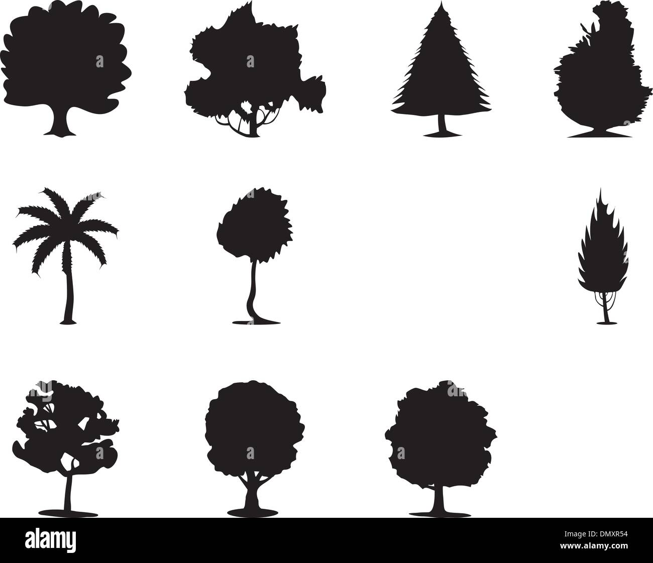Chestnut oak tree Stock Vector Images - Alamy