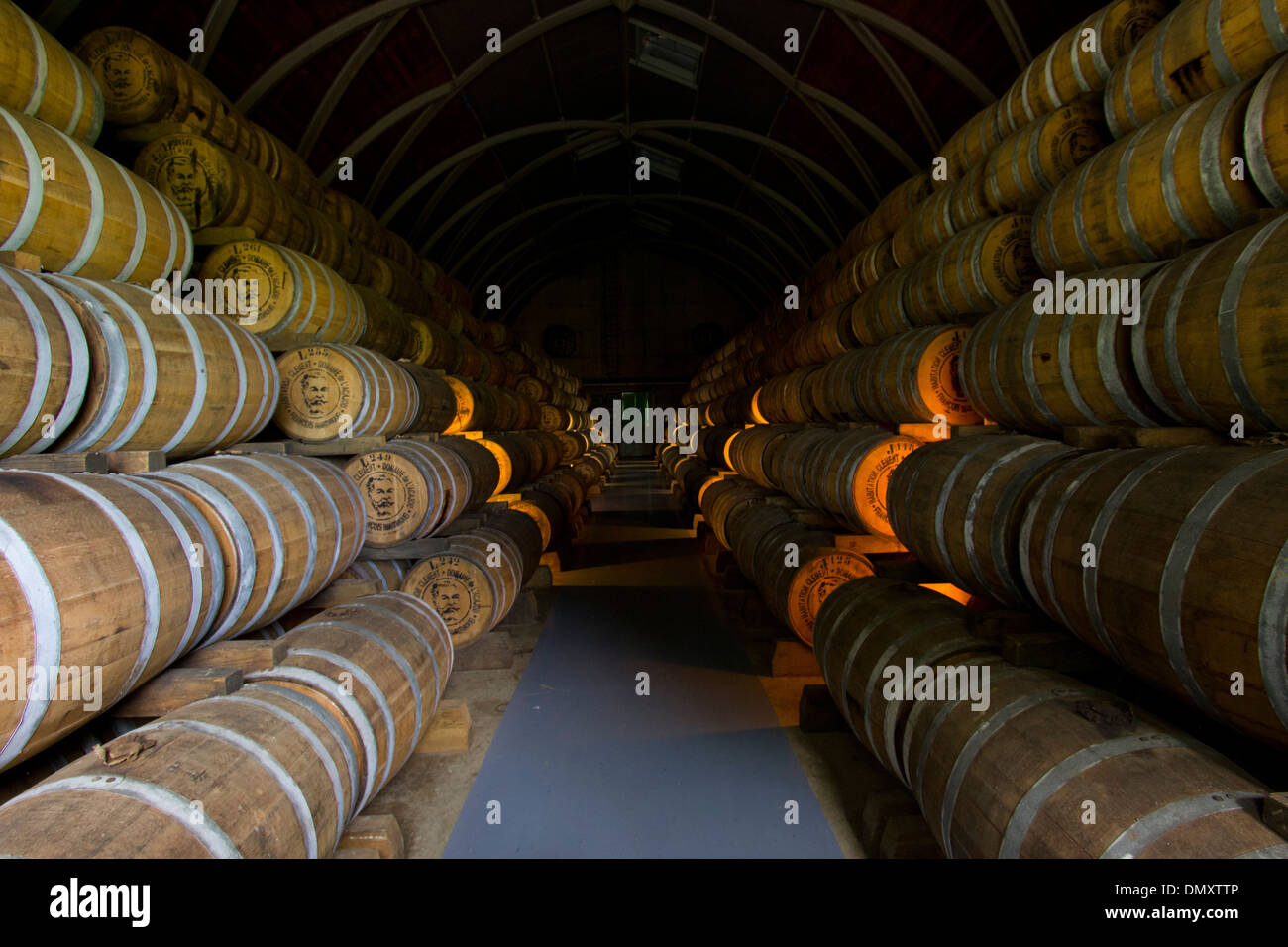 Color barrels of rhum Stock Photo - Alamy