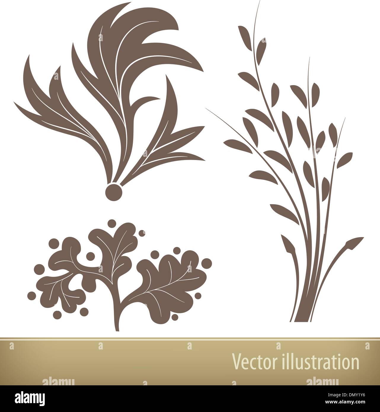 Vector floral elements Stock Vector