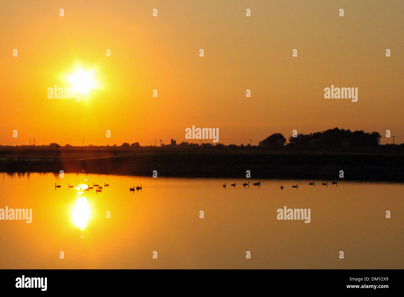 Animals and sunset hi-res stock photography and images - Alamy
