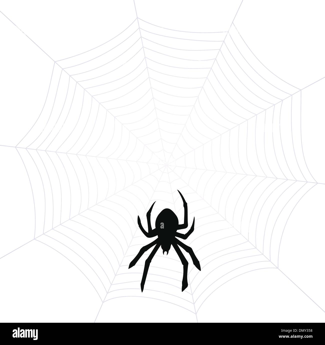vector spider and web Stock Vector