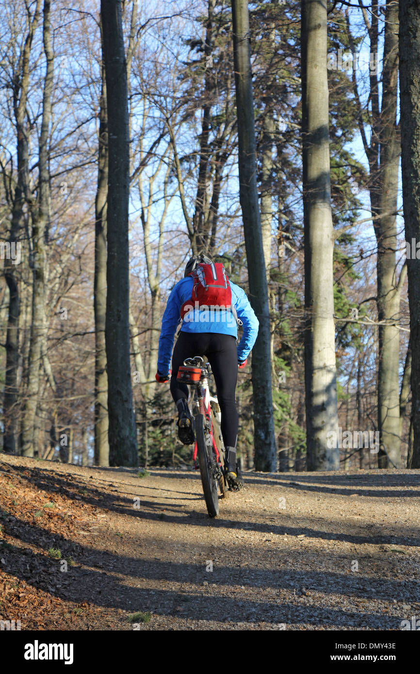 Mountain biker on pathway in mountain forest Stock Photo