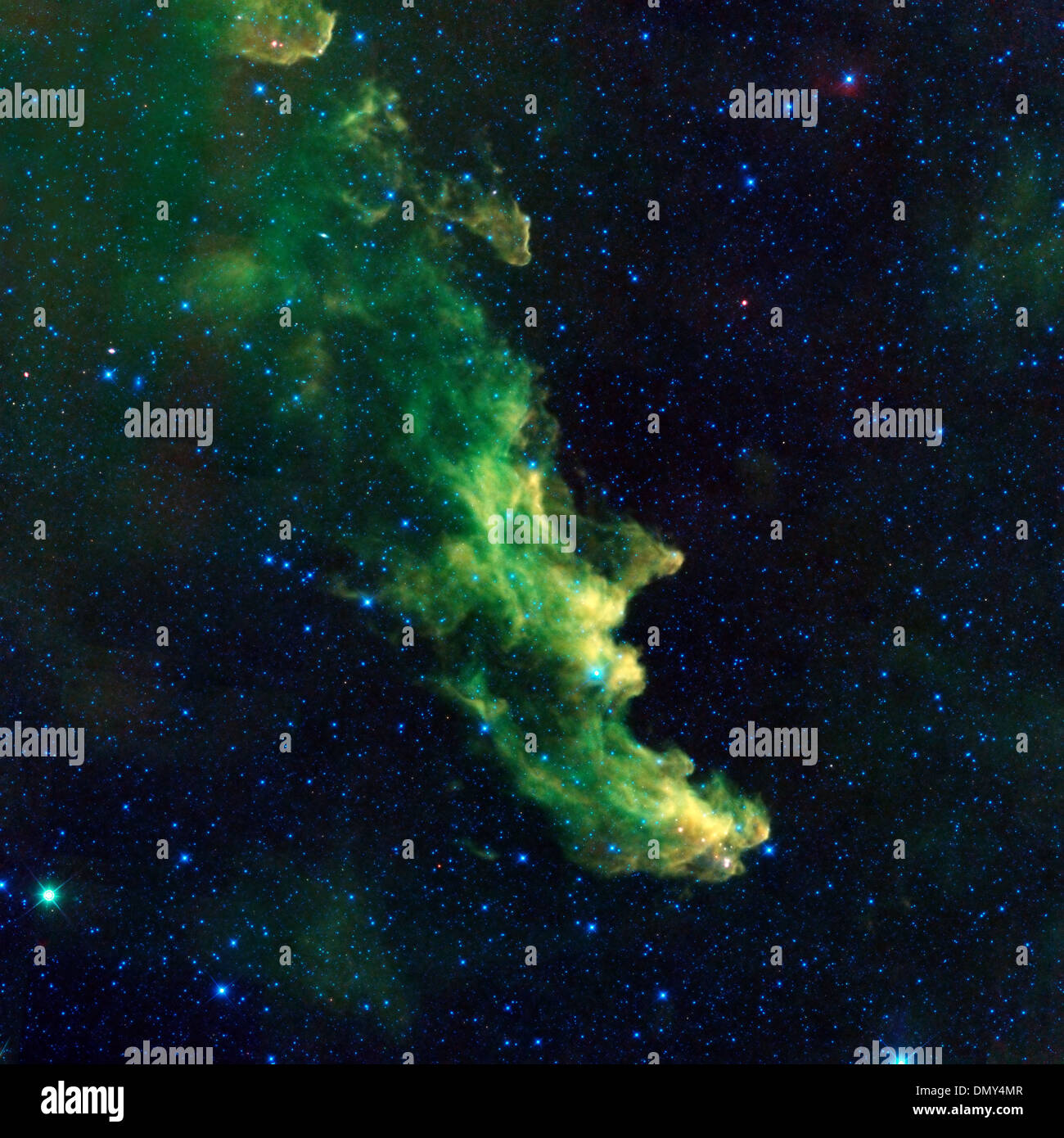 Witch Head Nebula, Wide-Field Infrared Survey Explorer Stock Photo