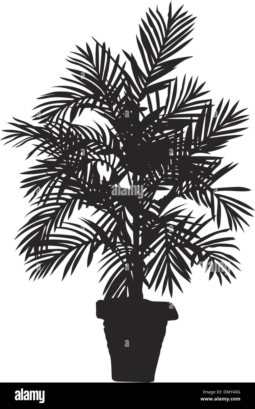 Palm tree Stock Vector