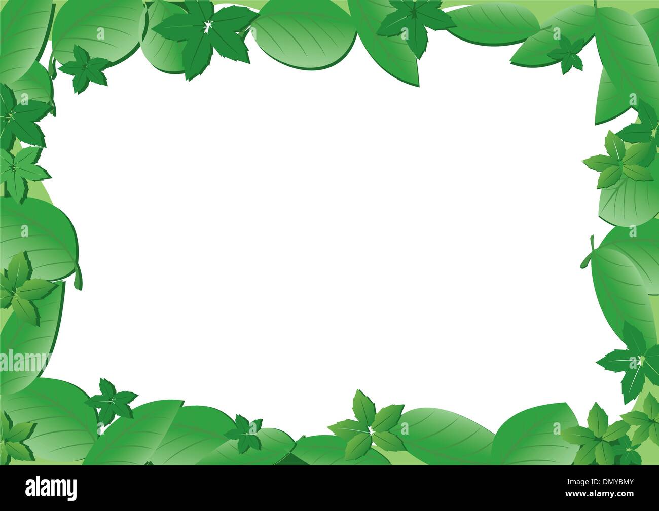 vector frame with green leaves Stock Vector Image & Art - Alamy