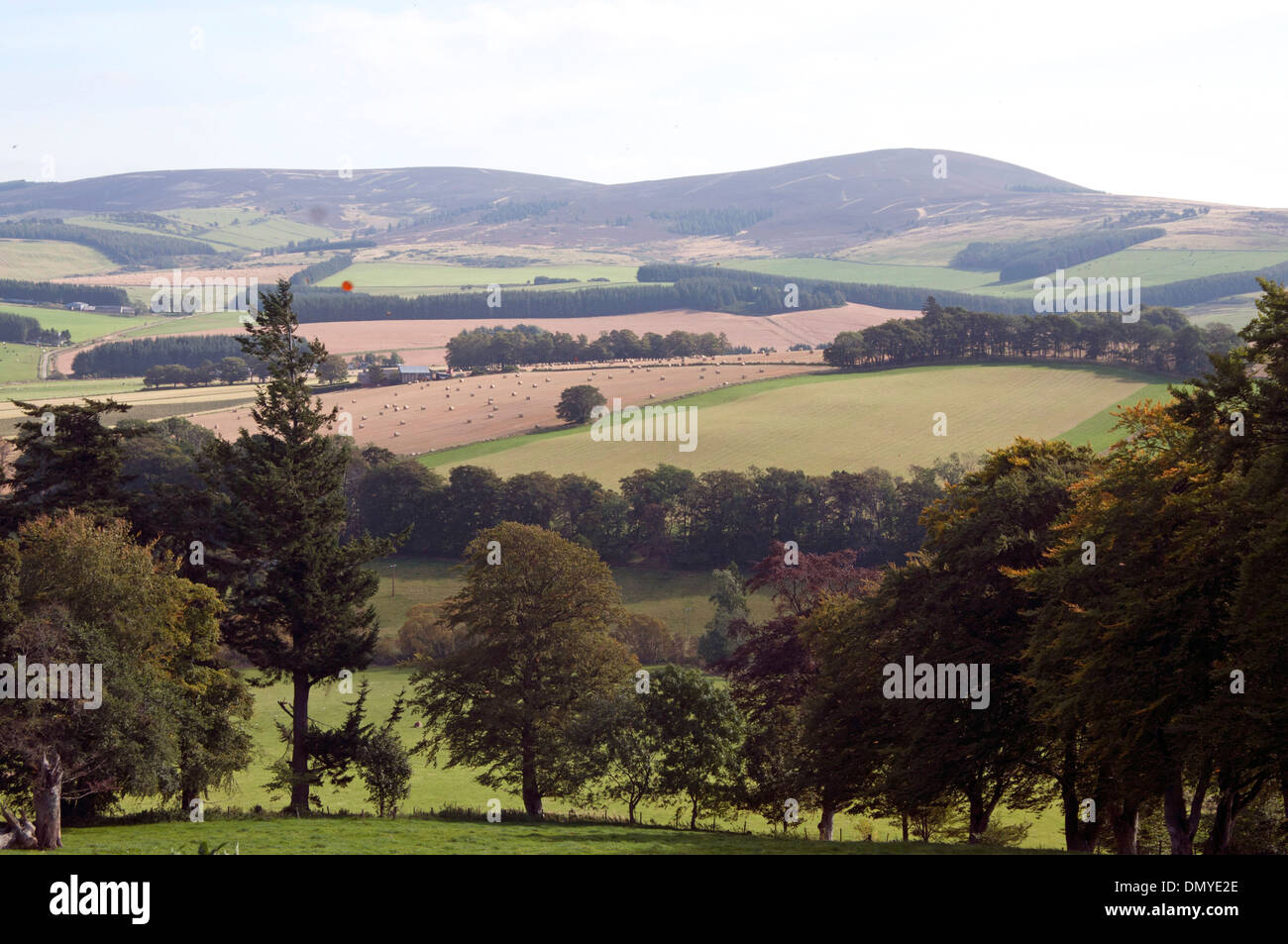 royal deeside aberdeen with countryside and farmland Stock Photo Alamy