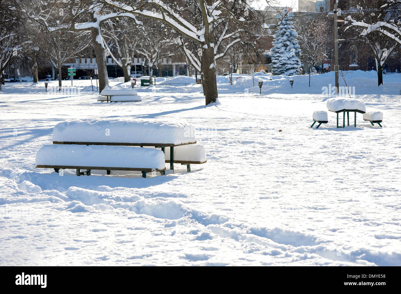 Park benches covered in lots of snow in a Canadian park Stock Photo - Alamy