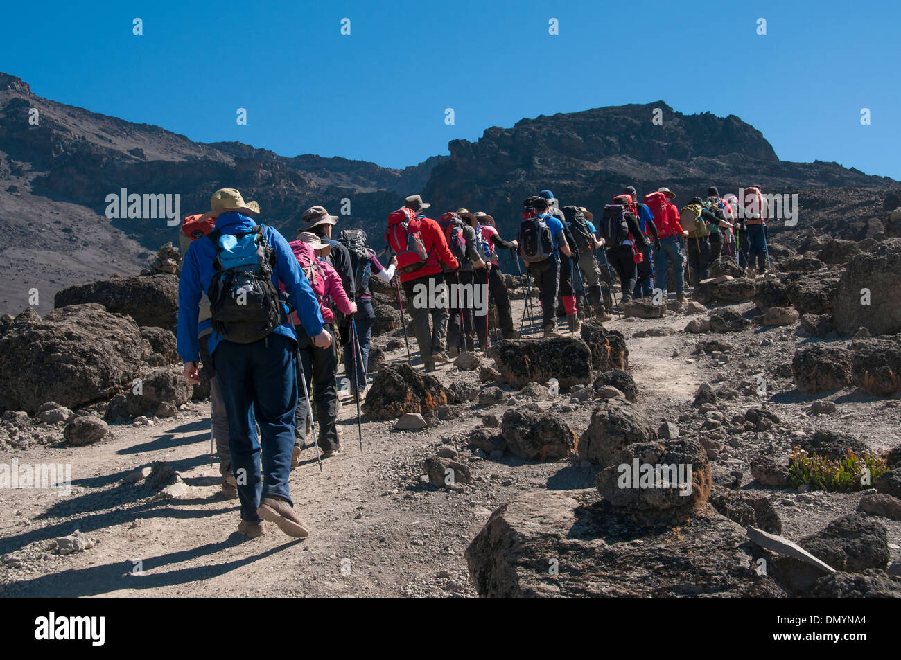 Group adventure camp hi-res stock photography and images - Alamy