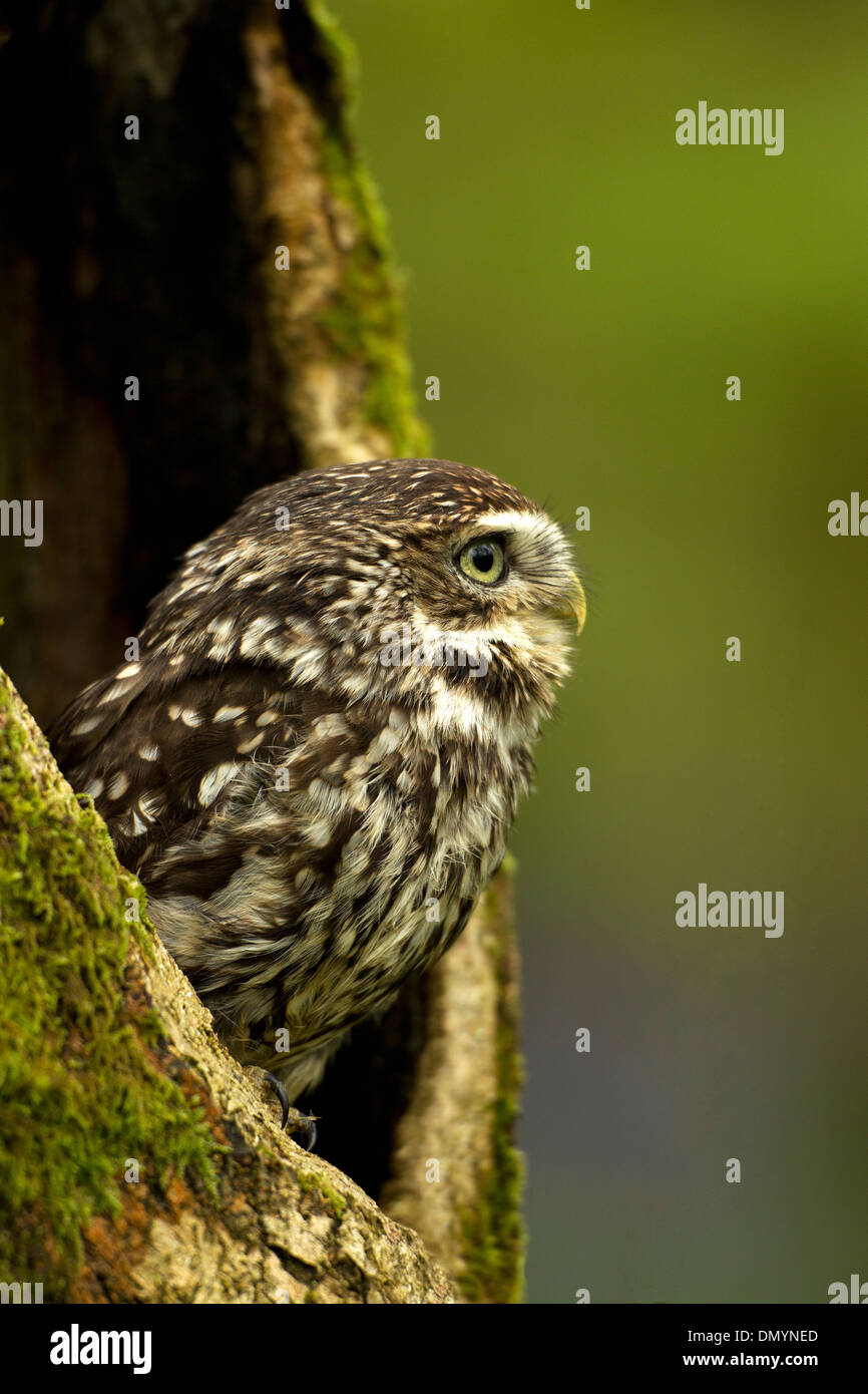 Log out background hires stock photography and images Alamy