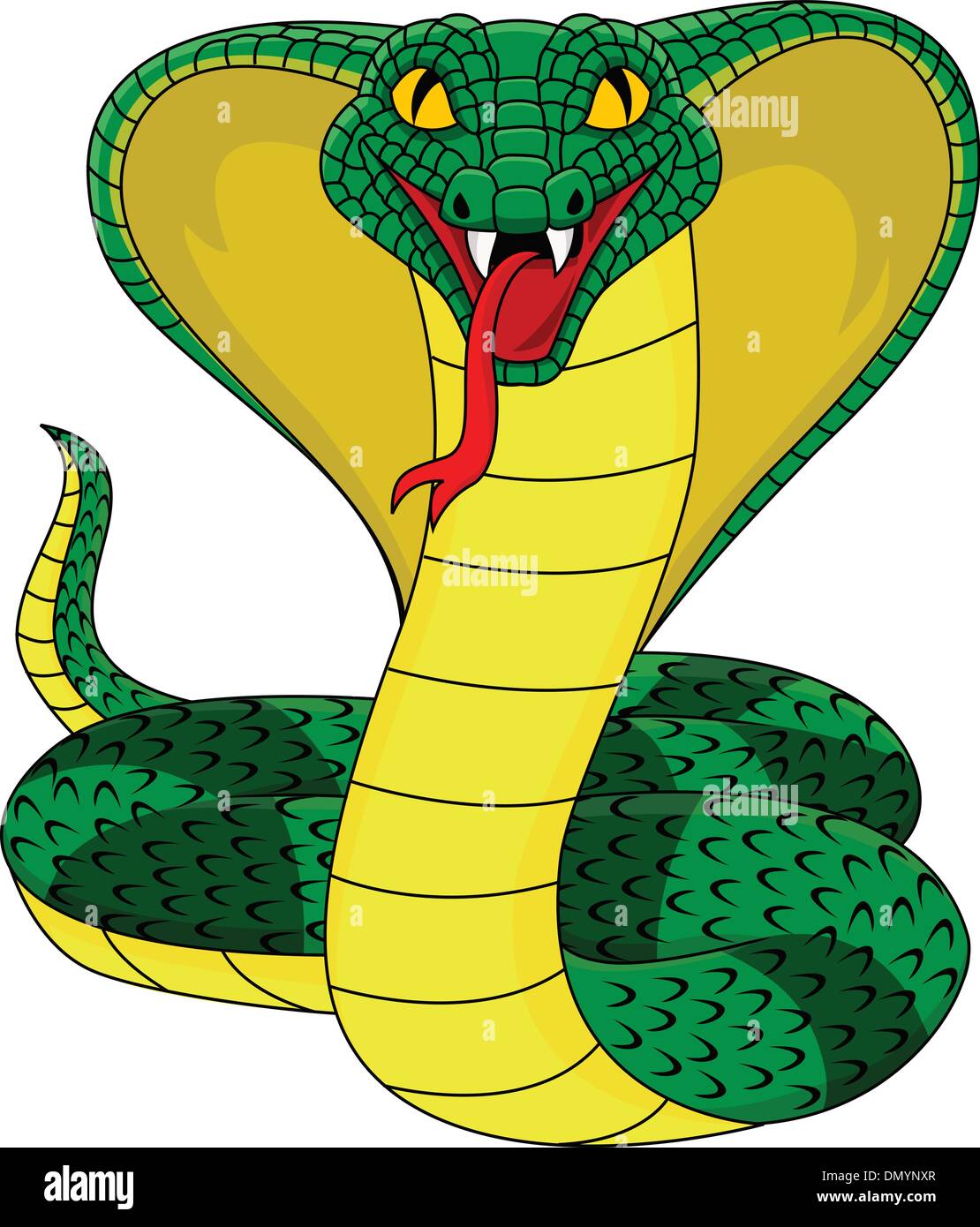 King cobra vector Stock Vector Image & Art - Alamy