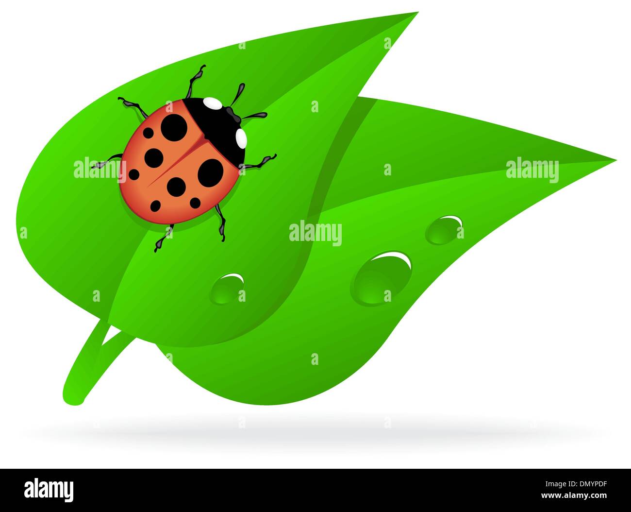 Ladybug on green leaf Stock Vector