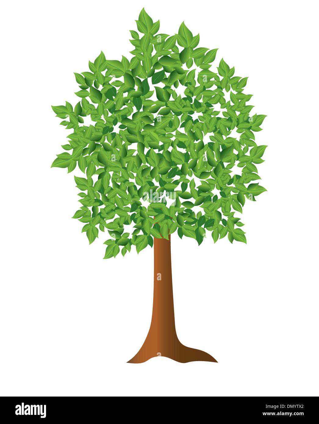 vector illustration - green tree Stock Vector Image & Art - Alamy