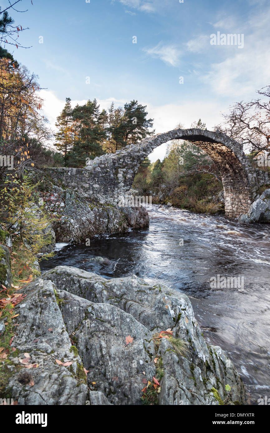 Ancient Pack horse bridge at Carrbridge in Scotland Stock Photo Alamy