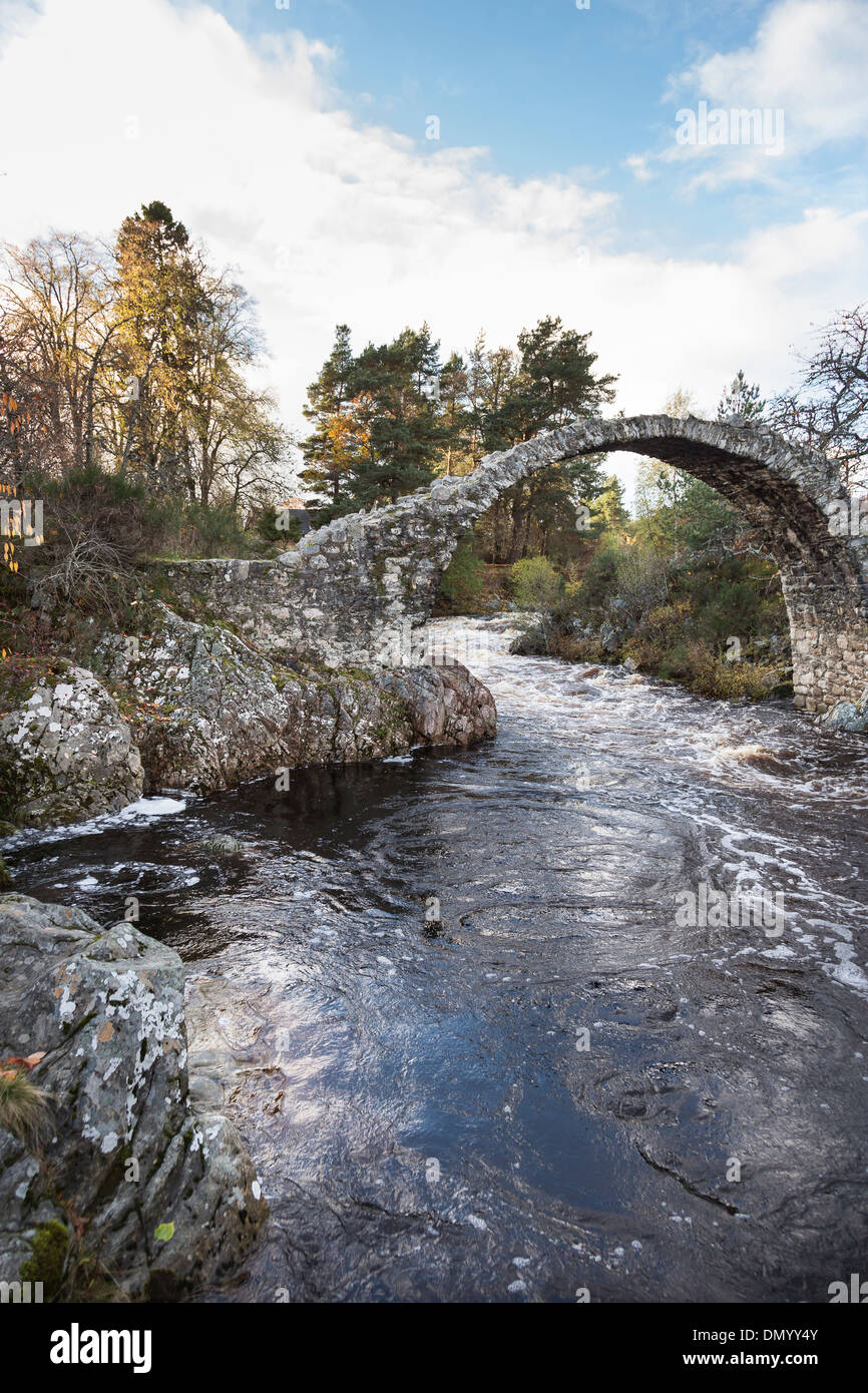 Ancient Pack horse bridge at Carrbridge in Scotland Stock Photo Alamy
