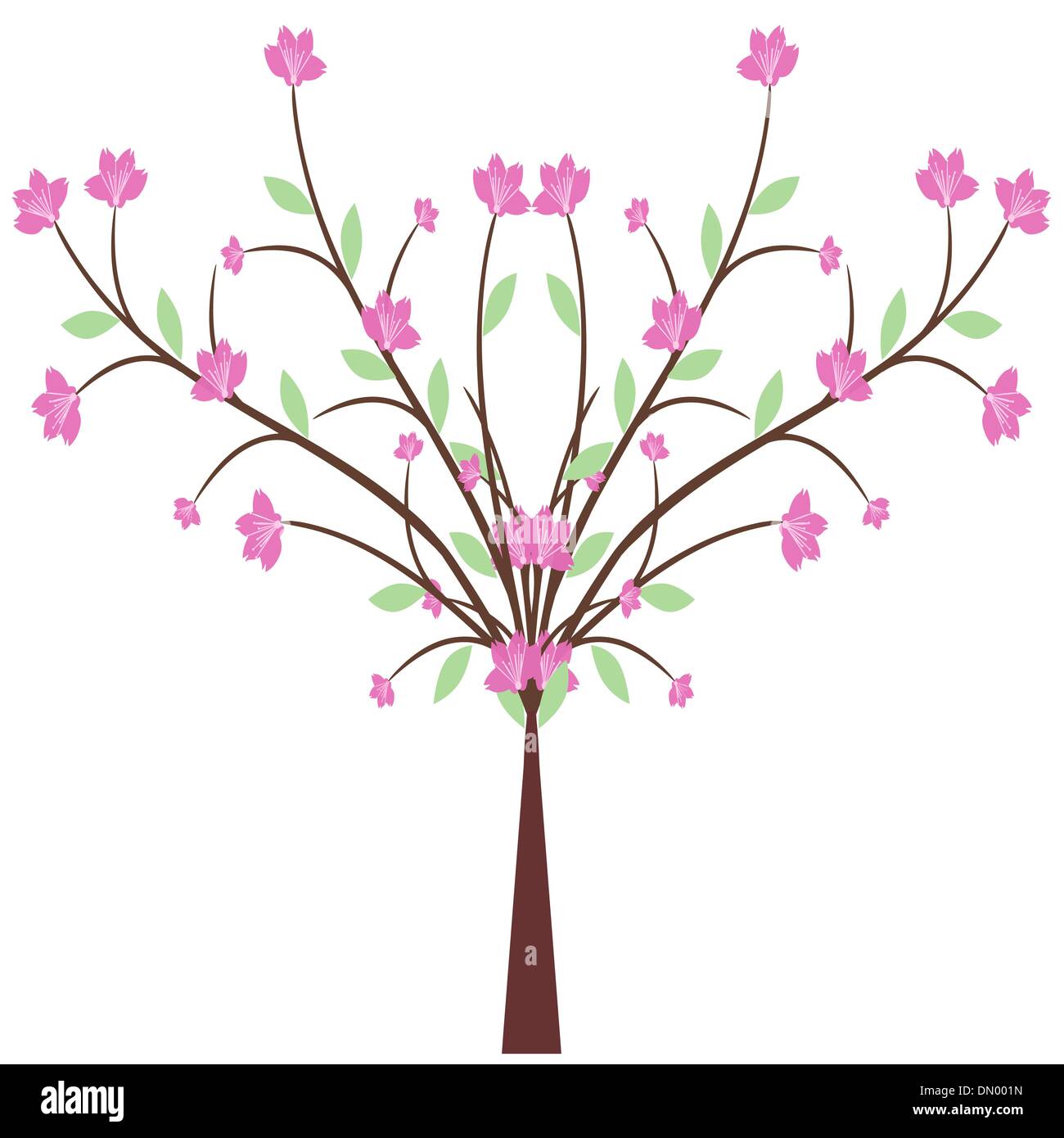 White cherry blossom close Stock Vector Images - Alamy