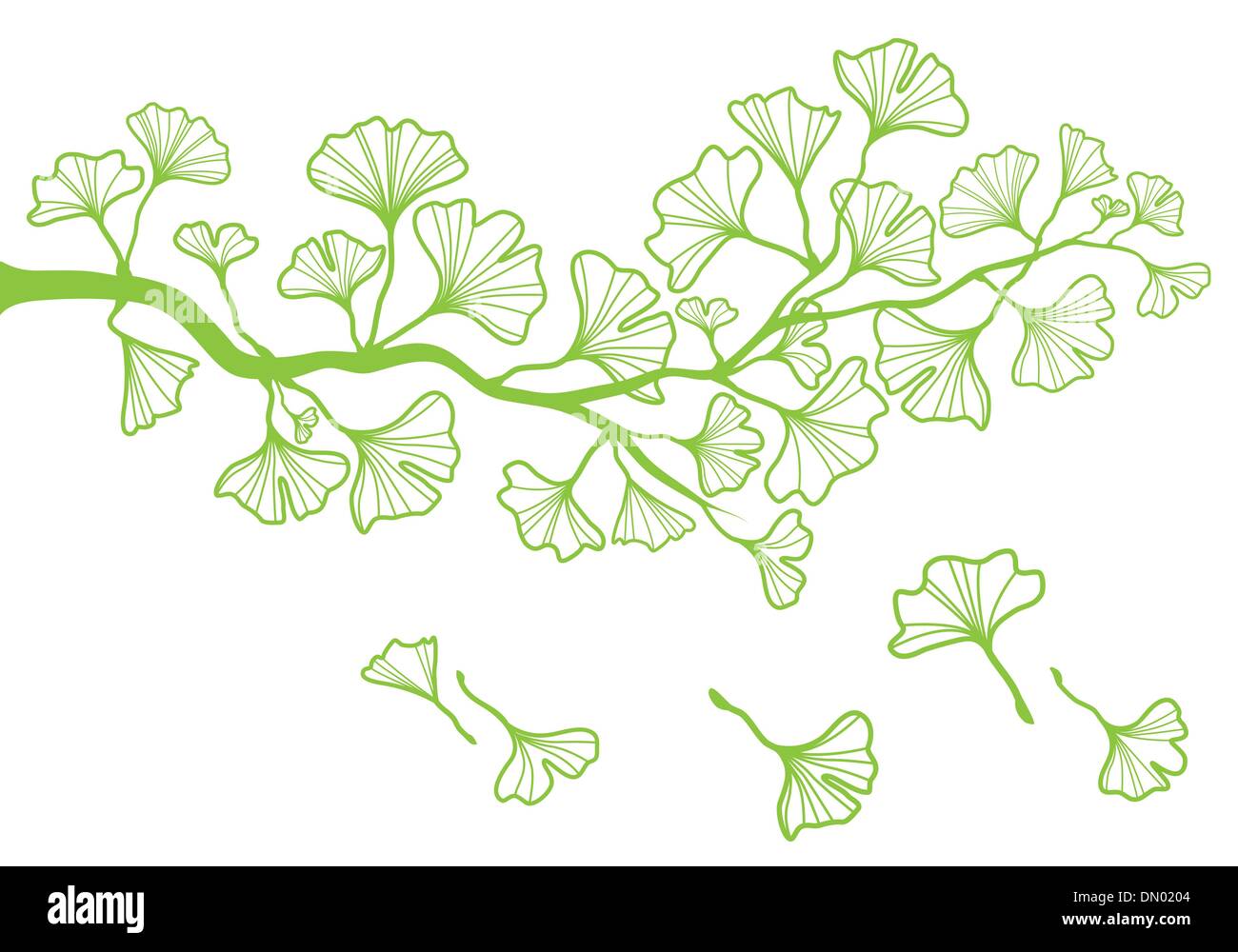 ginkgo branch with leaves, vector Stock Vector