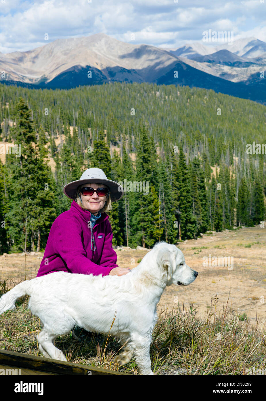 Woman and Platinum colored Golden Retriever dog hiking at Monarch Mountain, Colorado, USA Stock Photo