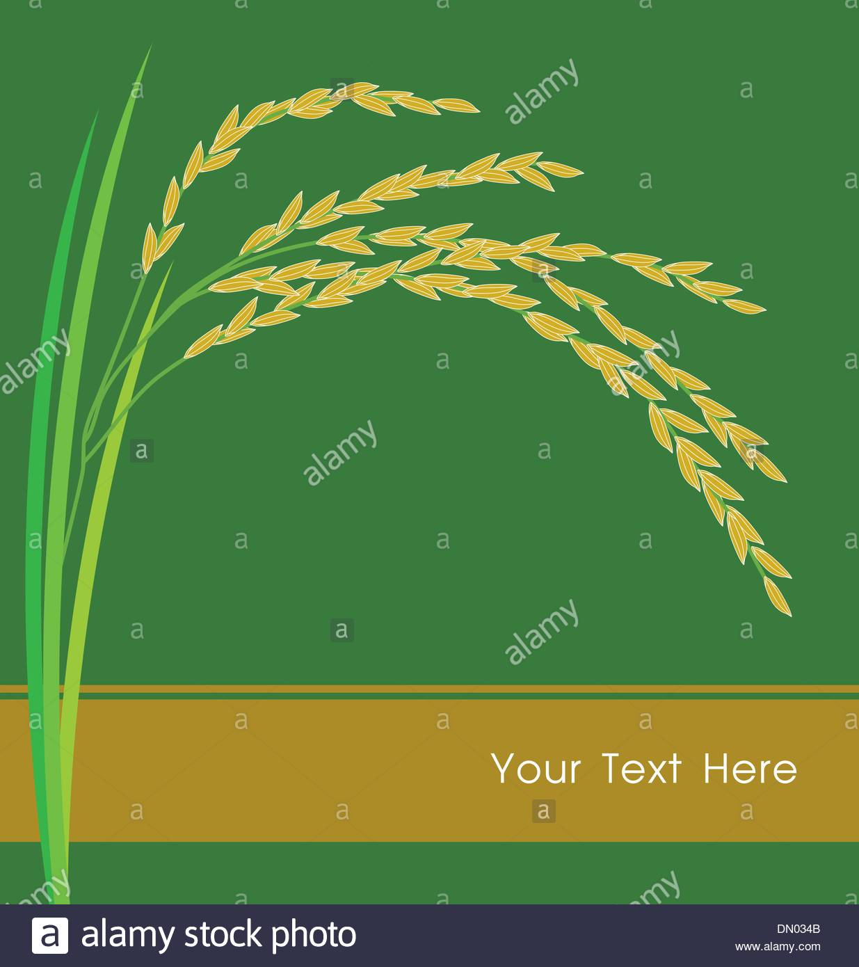 Rice Vector Vectors High Resolution Stock Photography and Images - Alamy