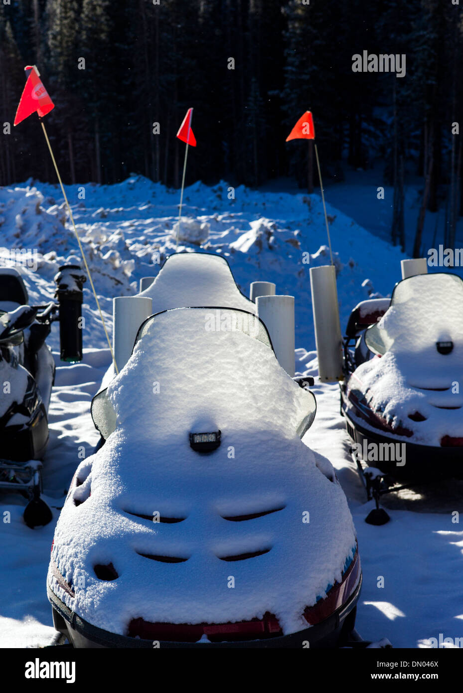 Ski patrol snowmobiles frosted with fresh morning snow, Monarch Mountain, Colorado, USA Stock Photo