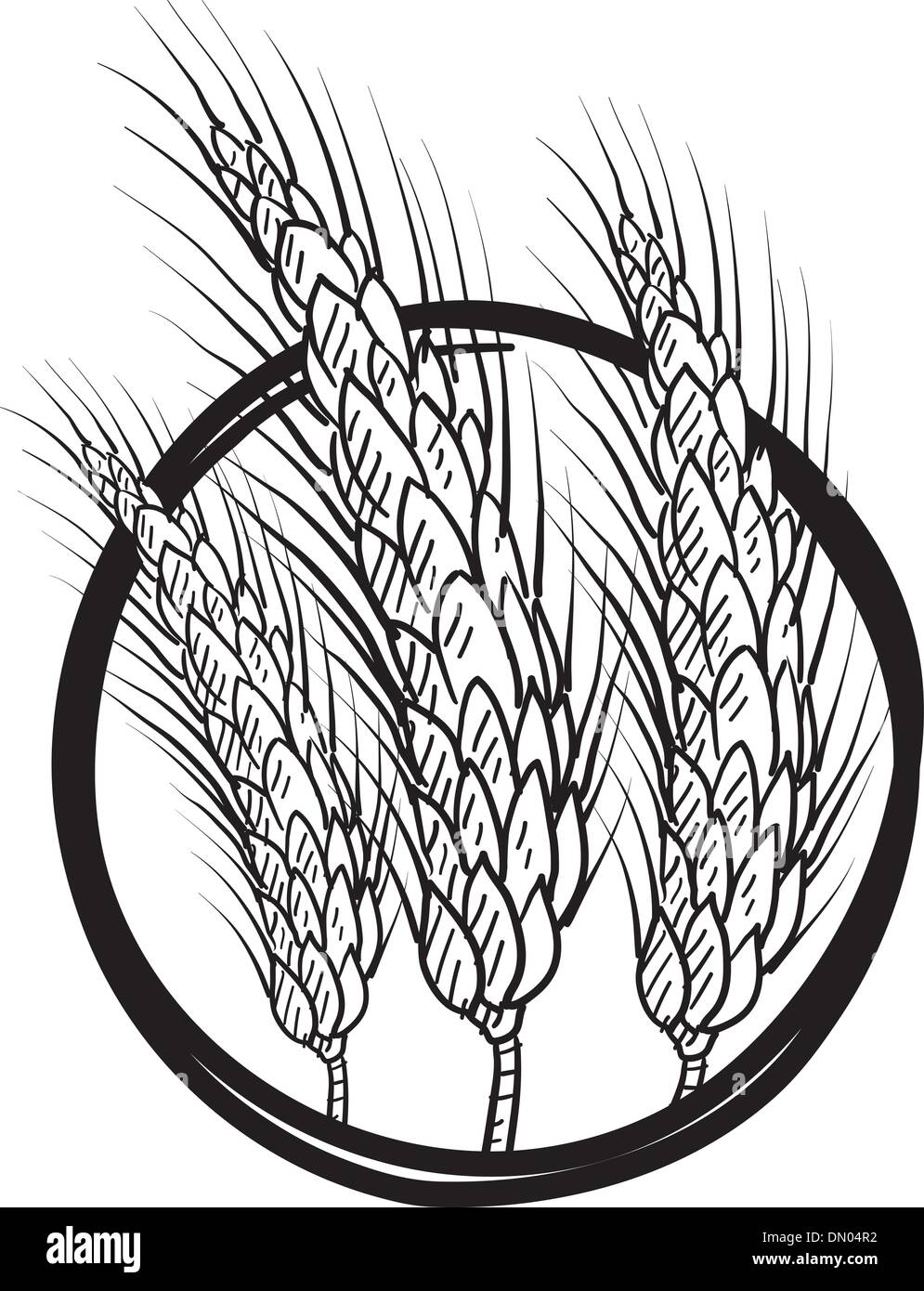 Wheat or grain emblem vector sketch Stock Vector