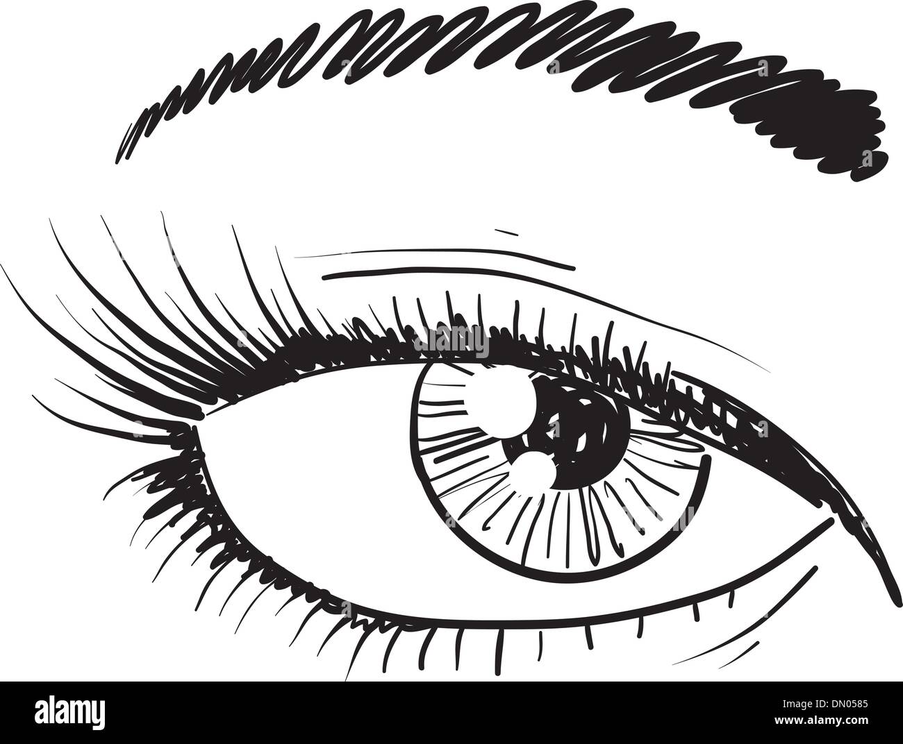 Human eye vector sketch Stock Vector