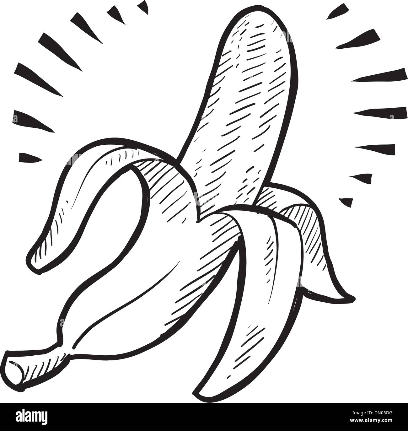 Banana vector sketch Stock Vector