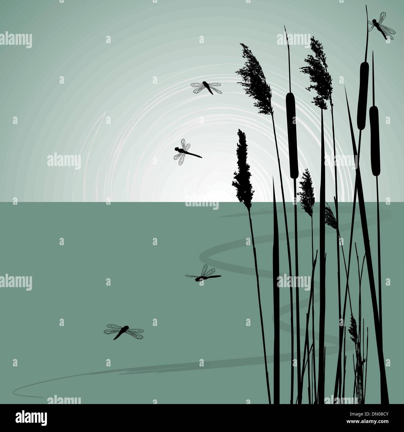 Reeds in the water and  few dragonflies  - vector Stock Vector