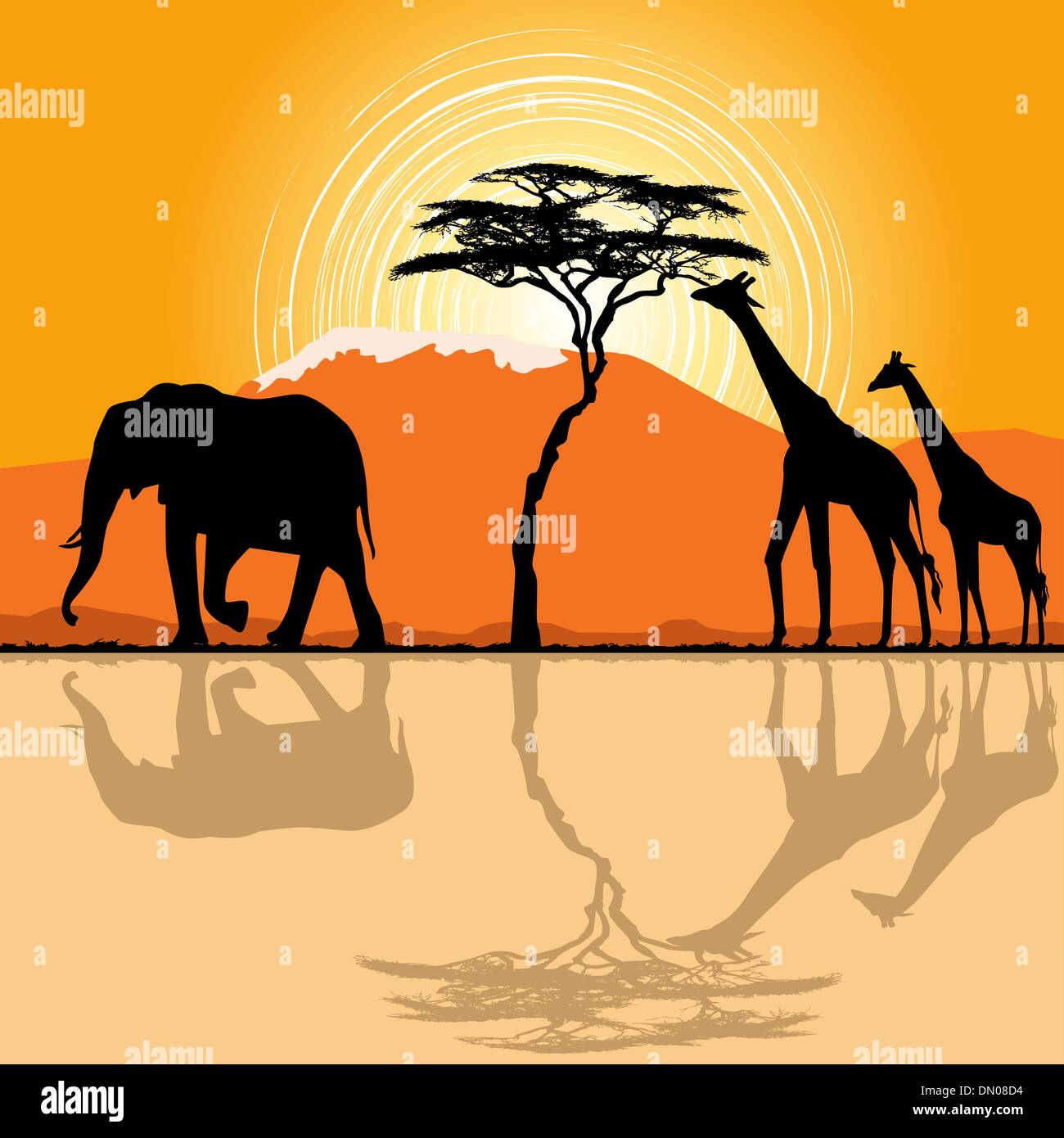 African landscape in sunset time with giraffes and elephant Stock ...
