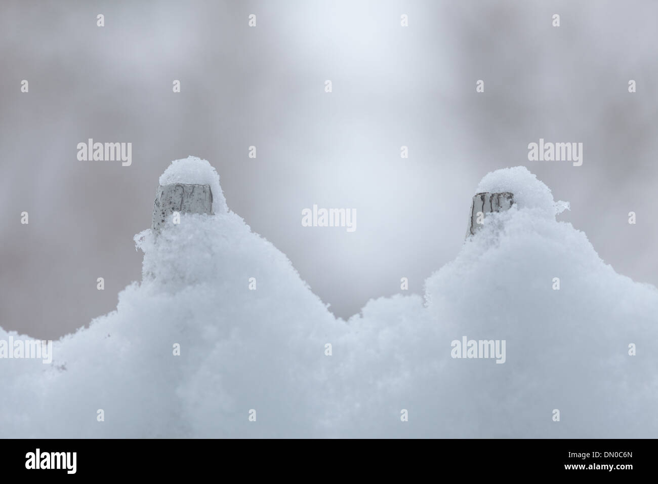 Old white wooden wood fence covered with fresh snow on winter season ...