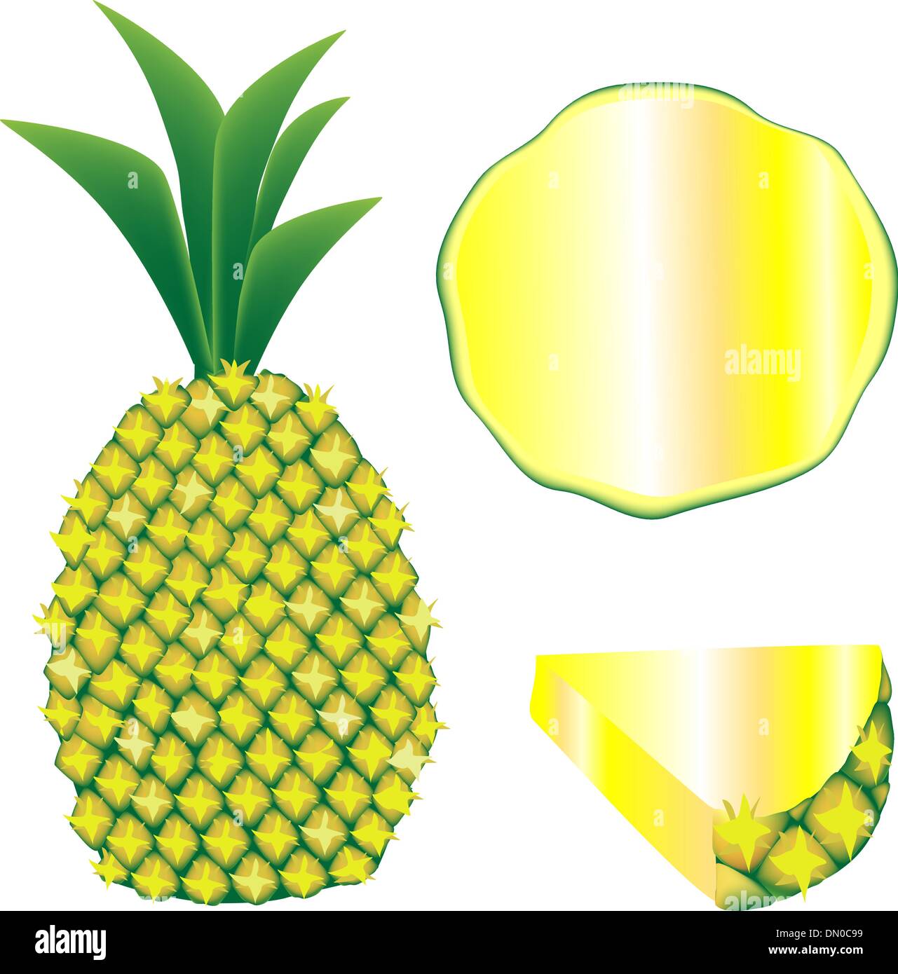 Pineapple vector illustration Stock Vector