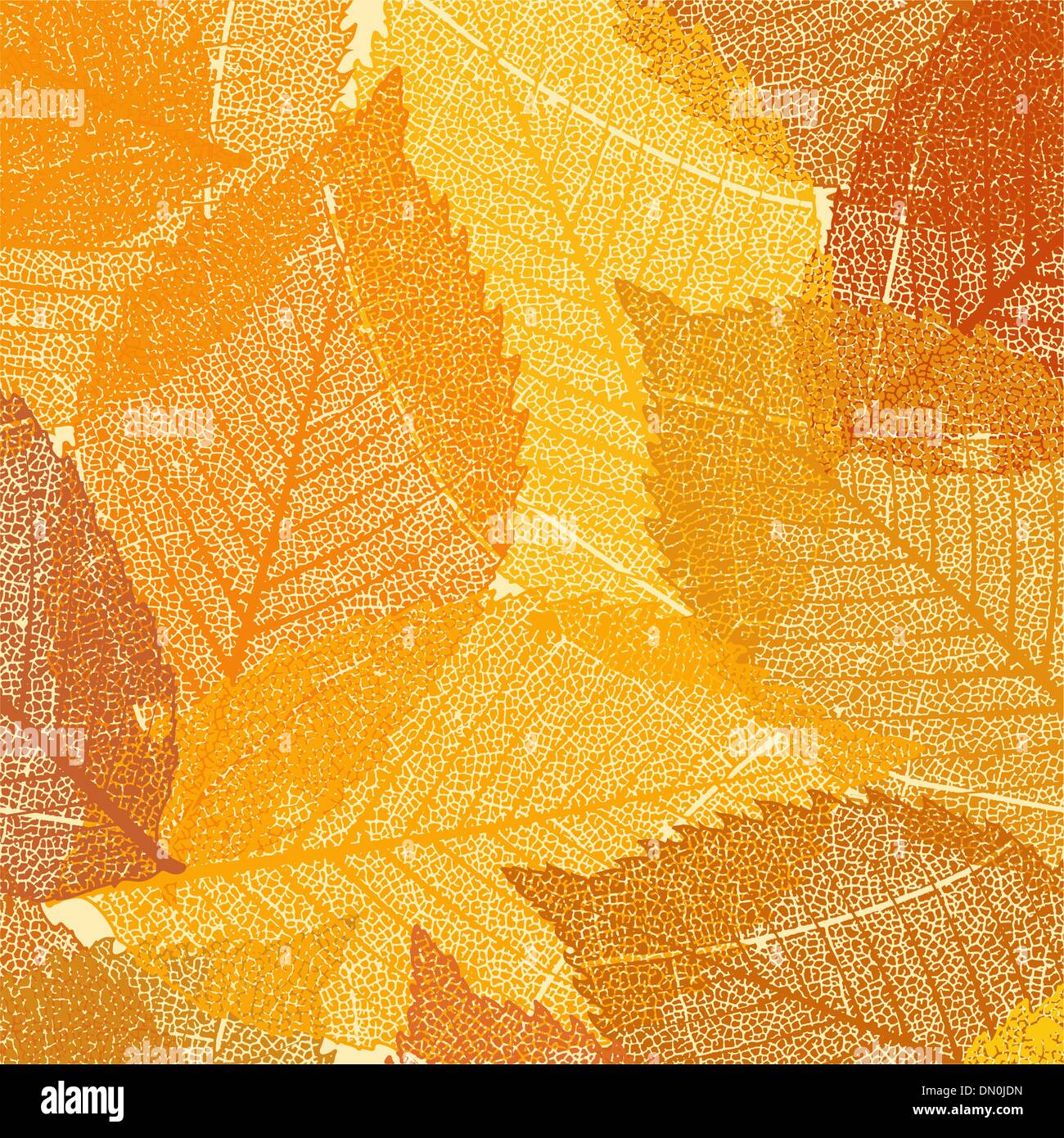 Dry autumn leaves template. EPS 8 Stock Vector Image & Art - Alamy