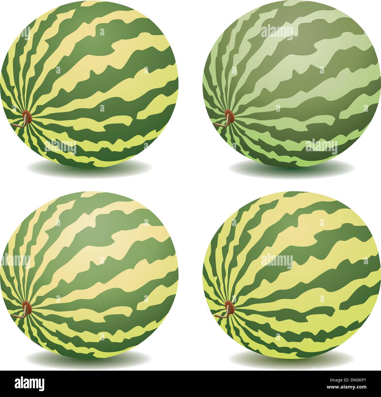 vector  watermelons Stock Vector