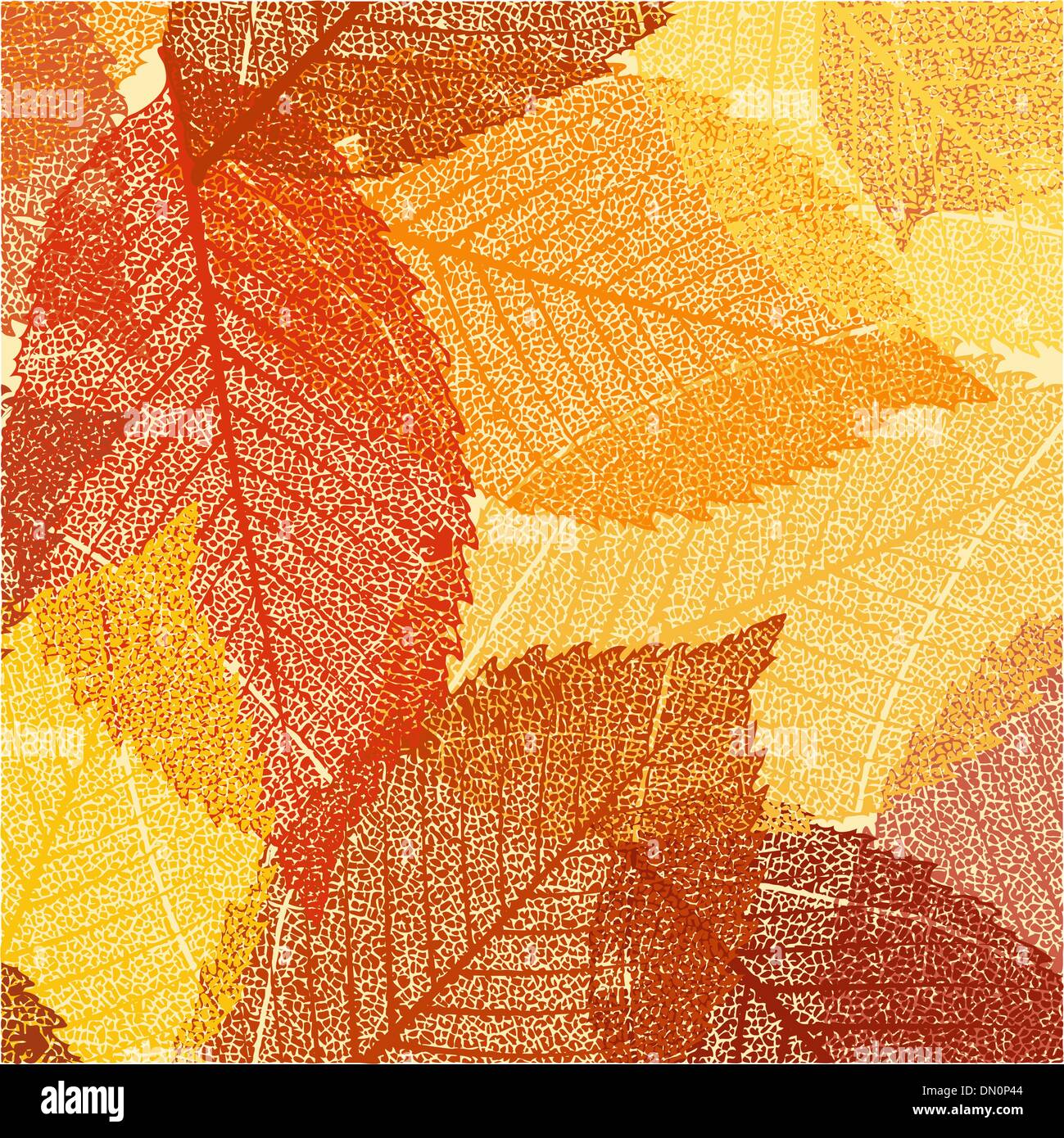 Dry autumn leaves template. EPS 8 Stock Vector Image & Art - Alamy