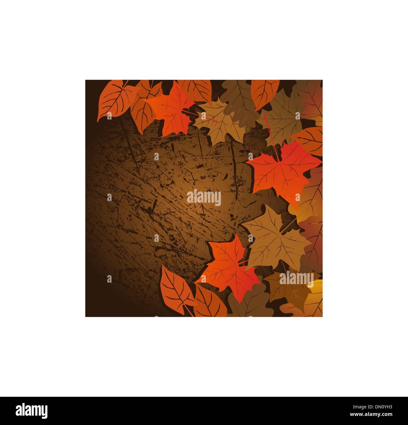 Leaf, autumn - vector background Stock Vector Image & Art - Alamy