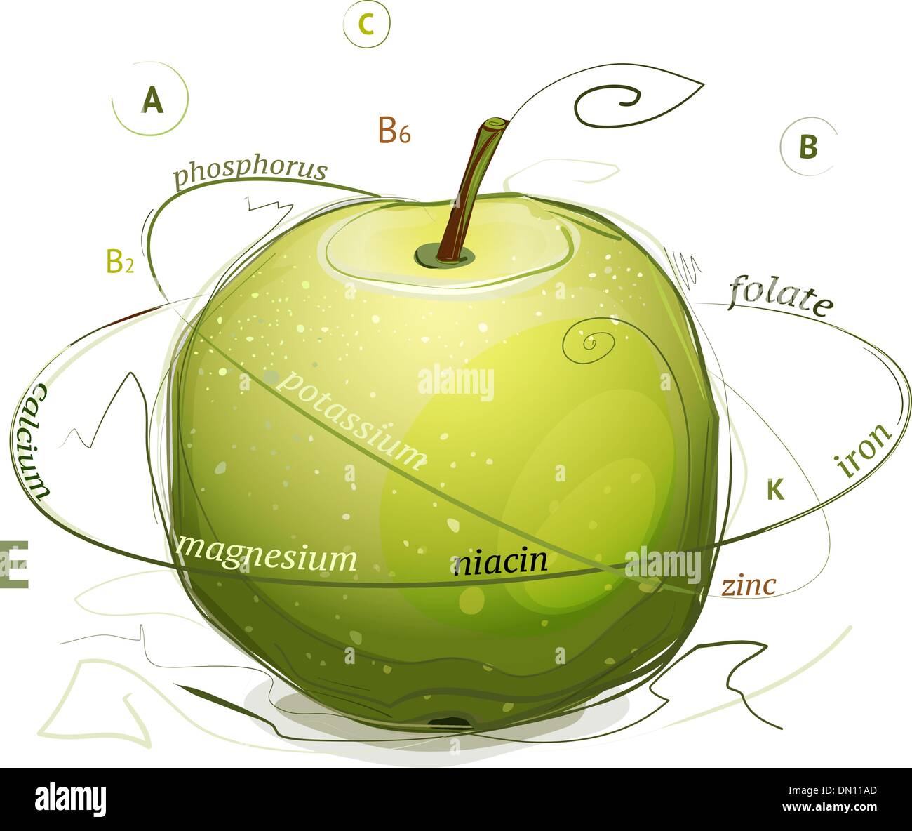 Apple vitamins and minerals illustration Stock Vector Image & Art Alamy