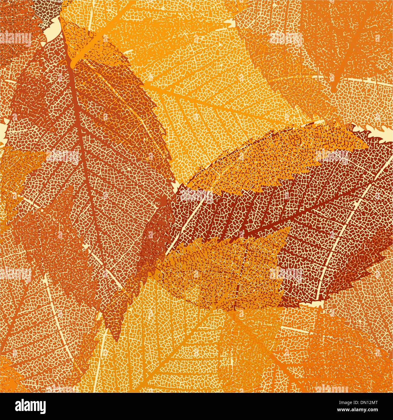 Dry autumn leaves template. EPS 8 Stock Vector Image & Art - Alamy